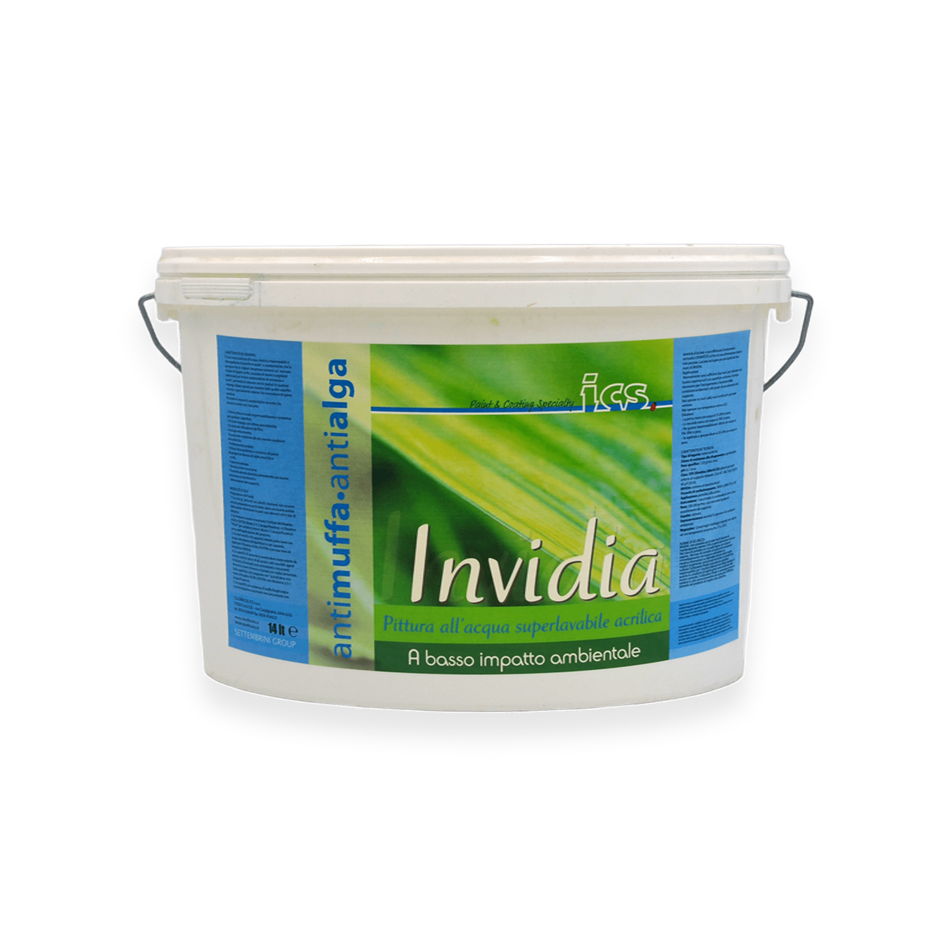 Invidia - immagine 2